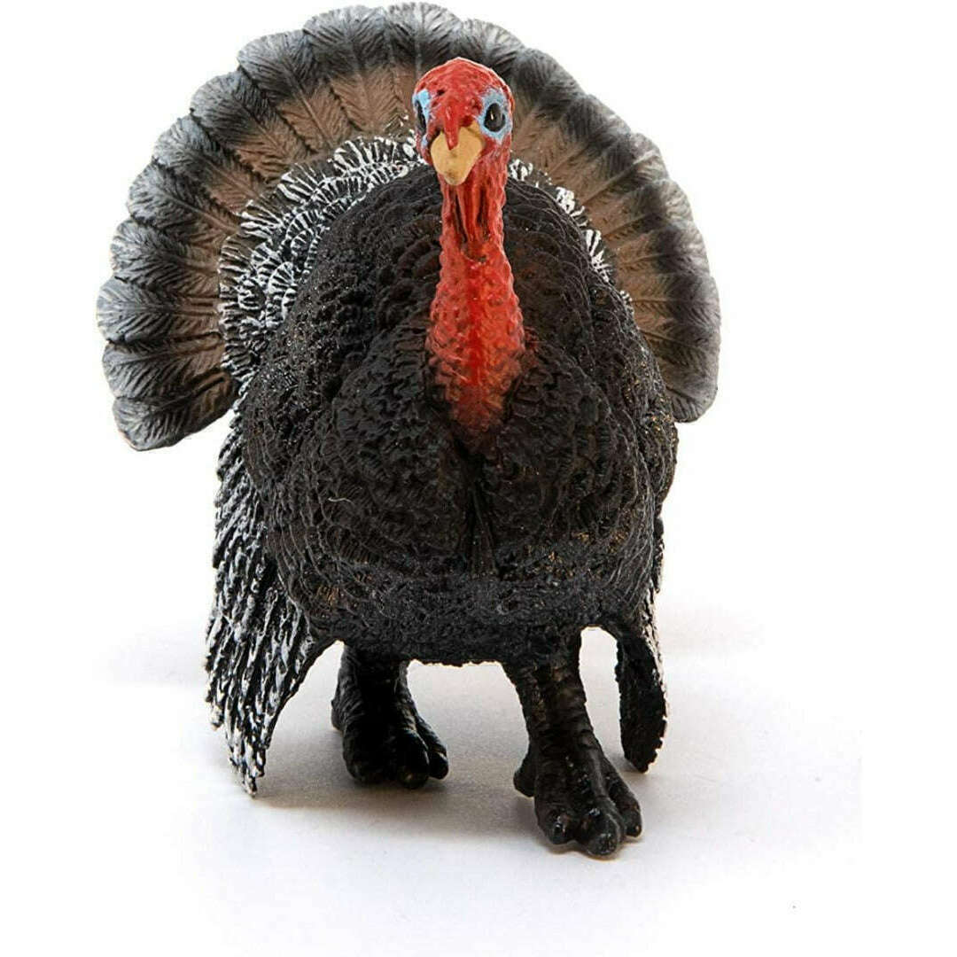 Schleich Farm World Turkey 13900 - Image 3
